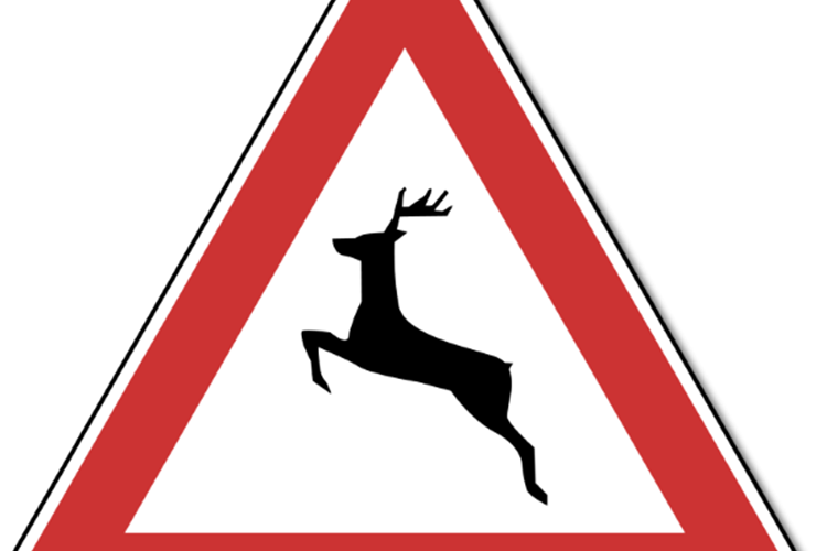 Slika A44.png